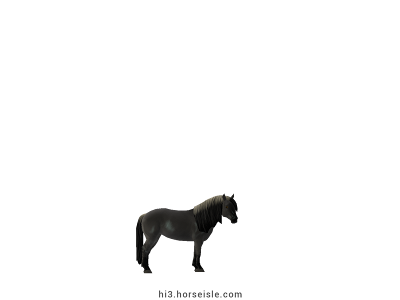 South African Miniature Horse Sooty Silvery Grulla Coat
